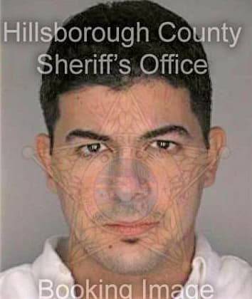 Galluppo Mitchell - Hillsborough County, FL 