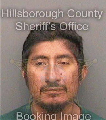 Gonzalez Mario - Hillsborough County, FL 