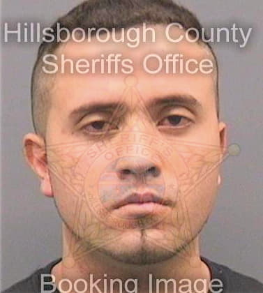 Hurtado Michael - Hillsborough County, FL 