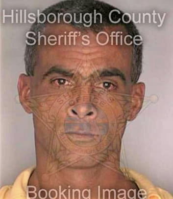 Millan Sigfredo - Hillsborough County, FL 