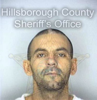 Lleo Hector - Hillsborough County, FL 