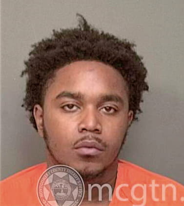 Mcfarland Fahim - Montgomery County, TN 