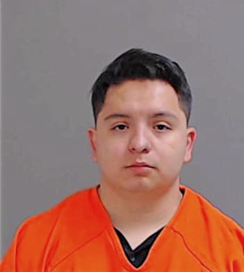 Maldonado Johnatan - Hidalgo County, TX 