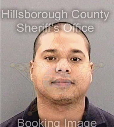 Darcyrivera Paolo - Hillsborough County, FL 