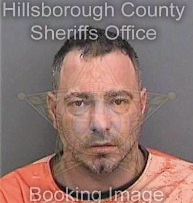 Medeiros Ryan - Hillsborough County, FL 