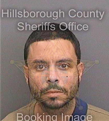 Lopez Brian - Hillsborough County, FL 