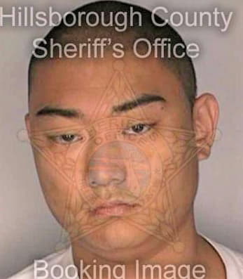 Sims Nicholas - Hillsborough County, FL 