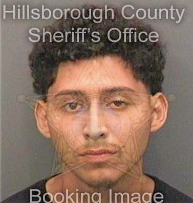 Gomez Danilo - Hillsborough County, FL 