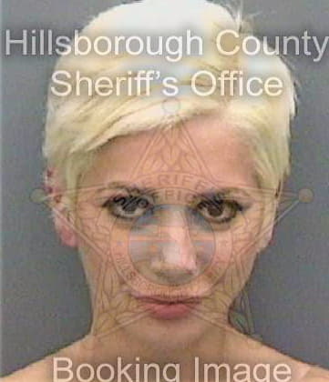 Simpson Mishay - Hillsborough County, FL 