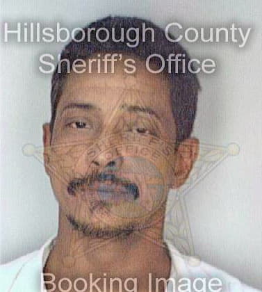 Dejesus Rafael - Hillsborough County, FL 