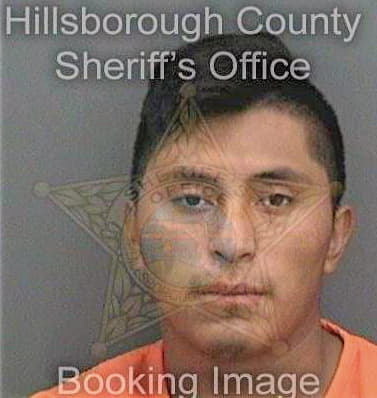 Ramosmorales Rudy - Hillsborough County, FL 