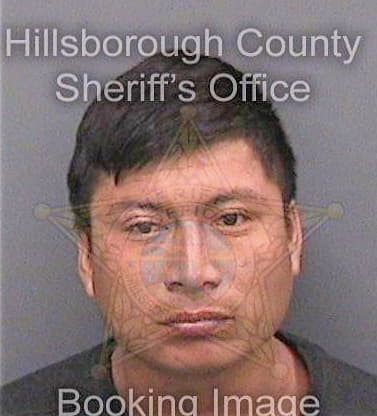 Vazquezsanchez Vicente - Hillsborough County, FL 