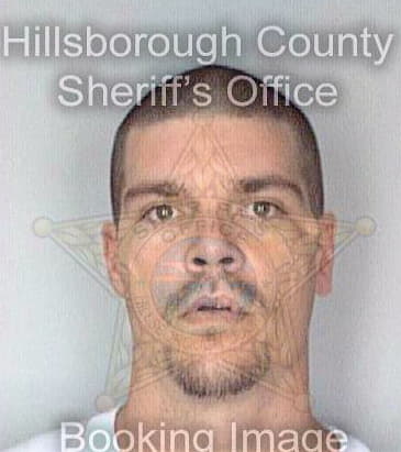 Johnson Christopher - Hillsborough County, FL 