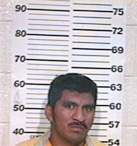 Hernandez Mauricio - Hidalgo County, TX 