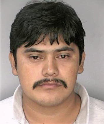 Mendez Elmer - Hillsborough County, FL 