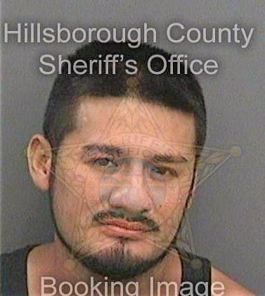 Policarpohernandez David - Hillsborough County, FL 