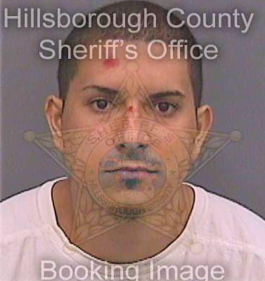 Santiagoandino Jeffrey - Hillsborough County, FL 