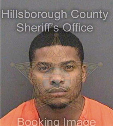 Reese Alexander - Hillsborough County, FL 