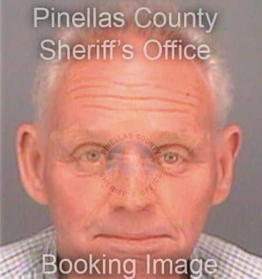 Hansen George - Pinellas County, FL 