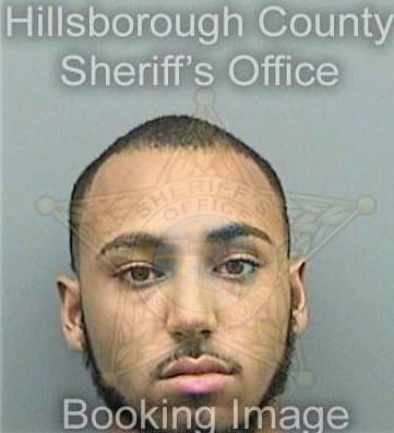 Shuler George - Hillsborough County, FL 