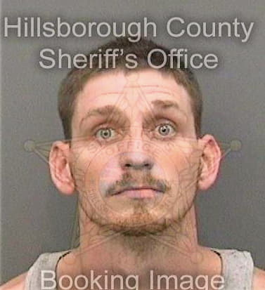 Bronson Joshua - Hillsborough County, FL 