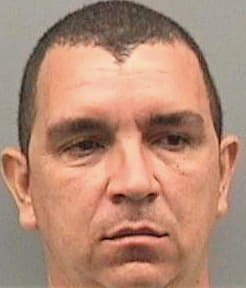 Britogonzalez Ernesto - Hillsborough County, FL 