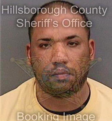 Dejesus Michael - Hillsborough County, FL 