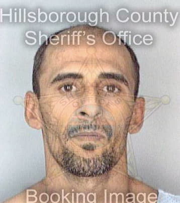Millan Carlos - Hillsborough County, FL 