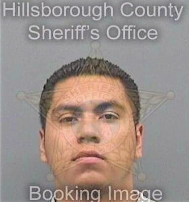 Ventura Jose - Hillsborough County, FL 