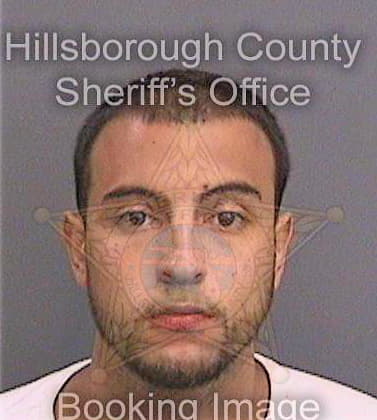 Olarte Daniel - Hillsborough County, FL 