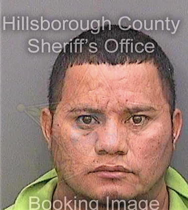 Lopez Jose - Hillsborough County, FL 