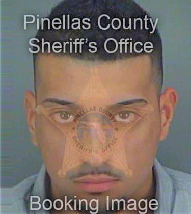 Renovales Luis - Pinellas County, FL 