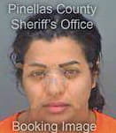 Alqaisi Rasha - Pinellas County, FL 