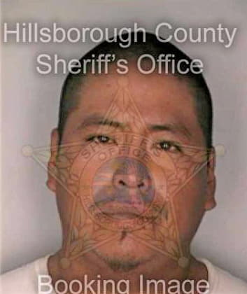Hernandez Alejandro - Hillsborough County, FL 