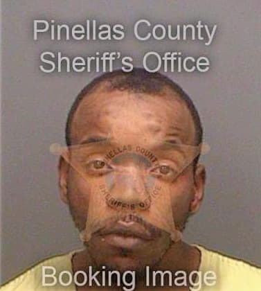 Bernier Stephen - Pinellas County, FL 