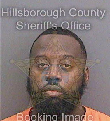 Holton Christopher - Hillsborough County, FL 