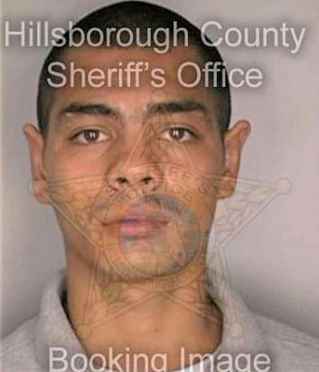 Pedraza Gonzalo - Hillsborough County, FL 