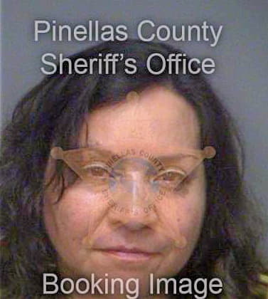 Garcia Carmen - Pinellas County, FL 