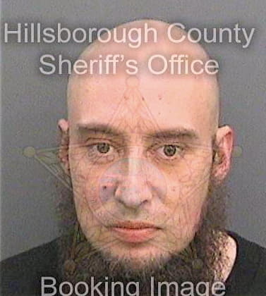 Simkins Daniel - Hillsborough County, FL 
