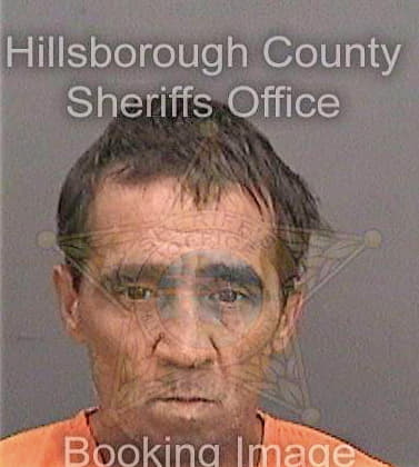 Mclemore Richard - Hillsborough County, FL 