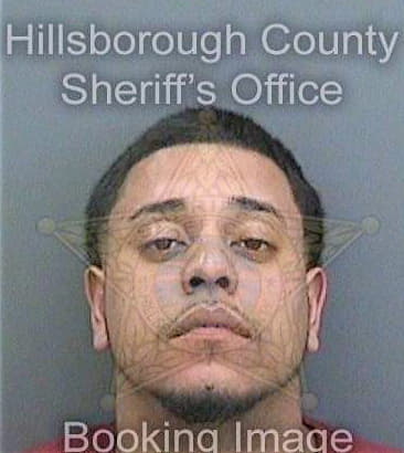 Gonzalez Candelario - Hillsborough County, FL 