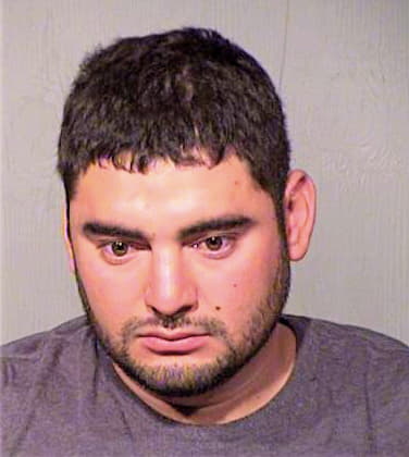 Camargo Luis - Maricopa County, AZ 