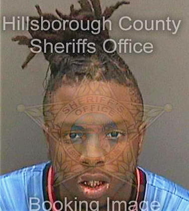 Mattearlofton Dandre - Hillsborough County, FL 