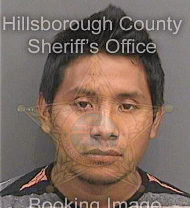 Dircioromero Jose - Hillsborough County, FL 