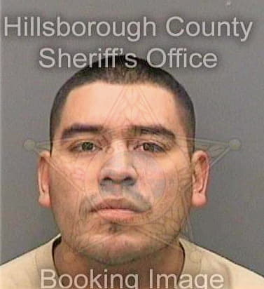 Miranda Juan - Hillsborough County, FL 