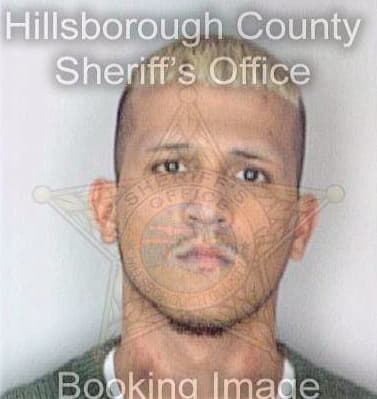 Burgos Luis - Hillsborough County, FL 