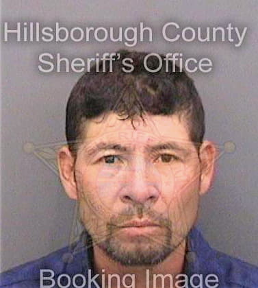 Silvestrelara Samuel - Hillsborough County, FL 