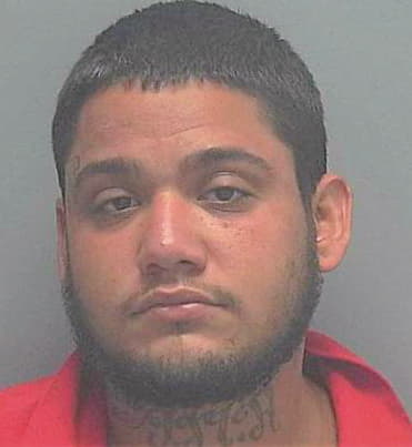 Birriel Darvin - Lee County, FL 