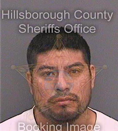 Josepaz Daniel - Hillsborough County, FL 