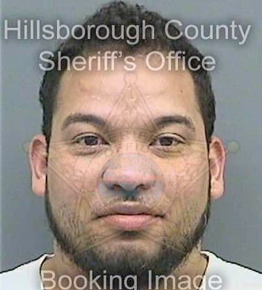 Guerrero Andrew - Hillsborough County, FL 